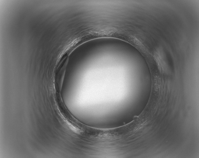 X0000052980634200507151829