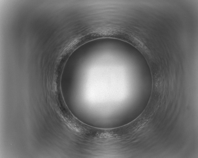 X0000052980635200507151829