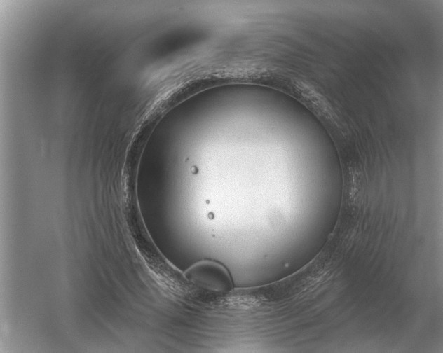 X0000052980636200507151829