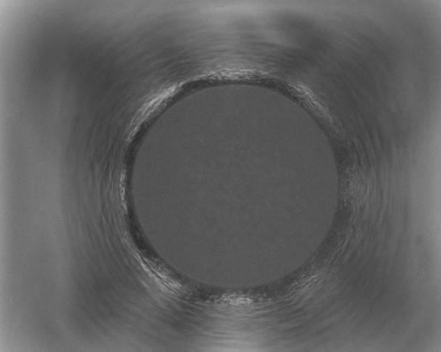 X0000052980640200507151829