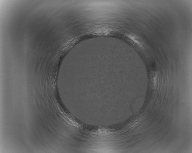 X0000052980641200507151829