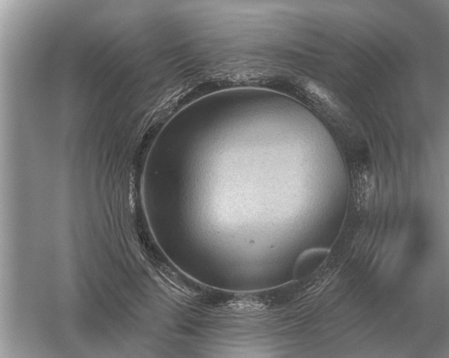 X0000052980644200507151829