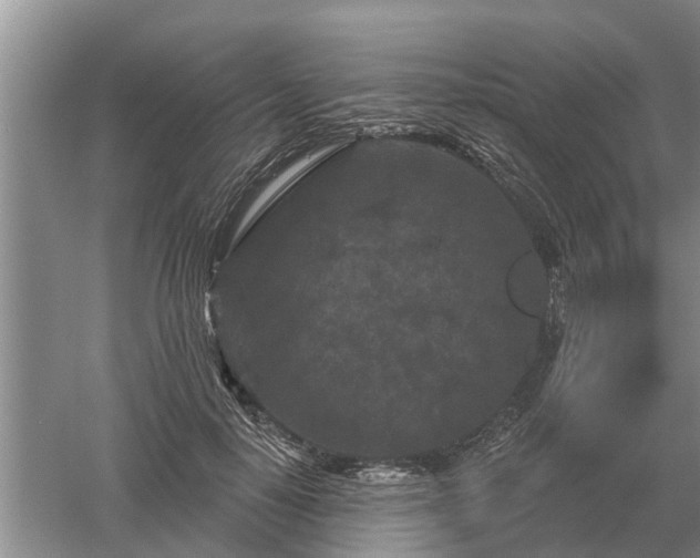 X0000052980650200507151829