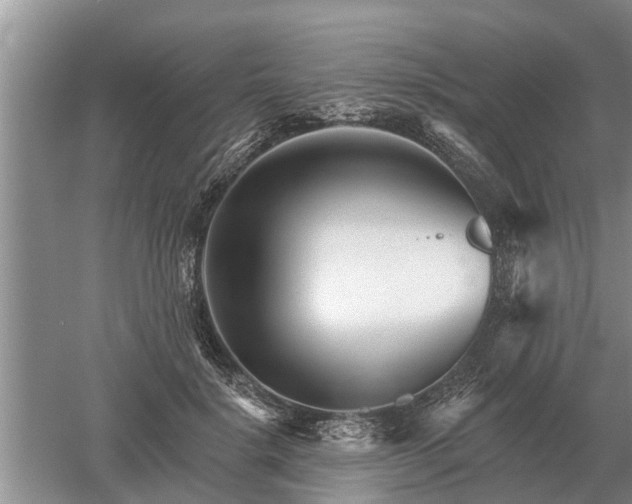 X0000052980652200507151829