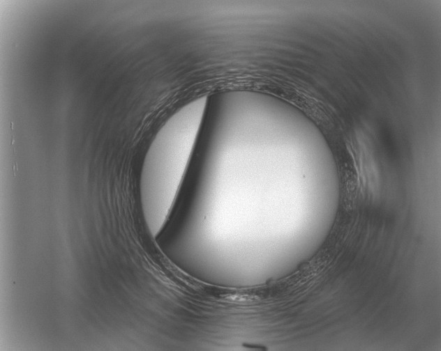 X0000052980654200507151829