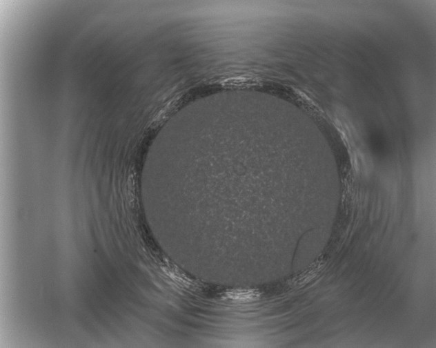 X0000052980659200507151829