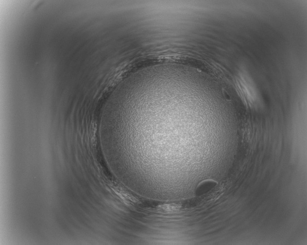 X0000052980660200507151829