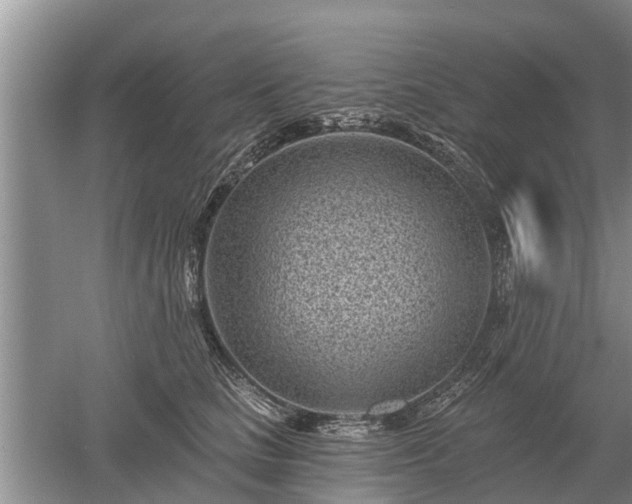 X0000052980661200507151829