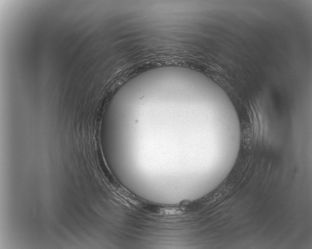 X0000052980662200507151829