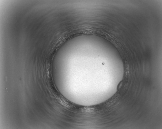 X0000052980664200507151829