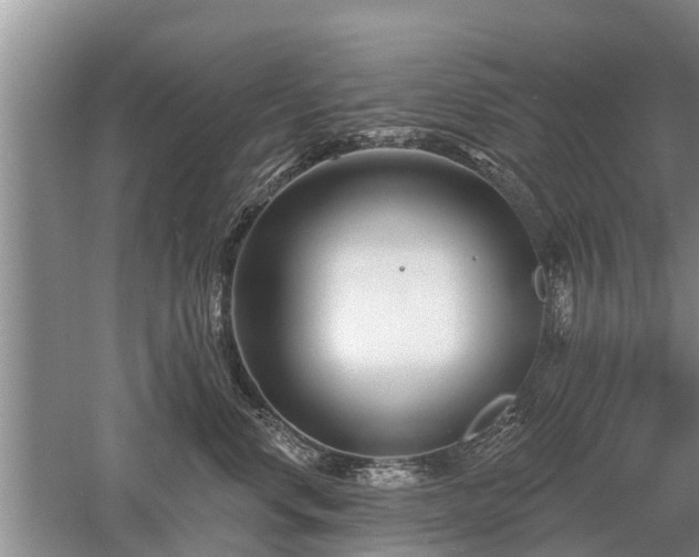 X0000052980668200507151830