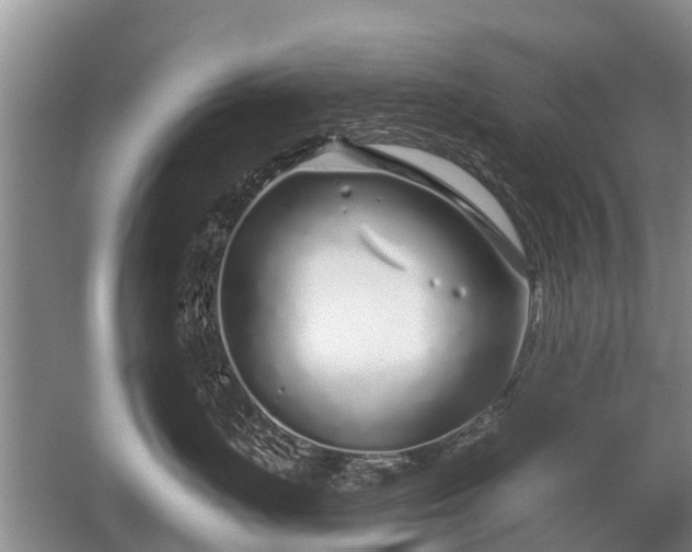 X0000052980671200507151830