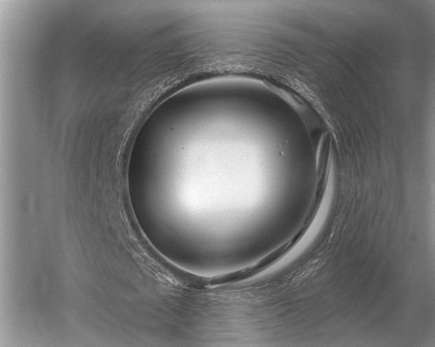 X0000052980673200507151829