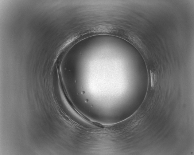 X0000052980675200507151829