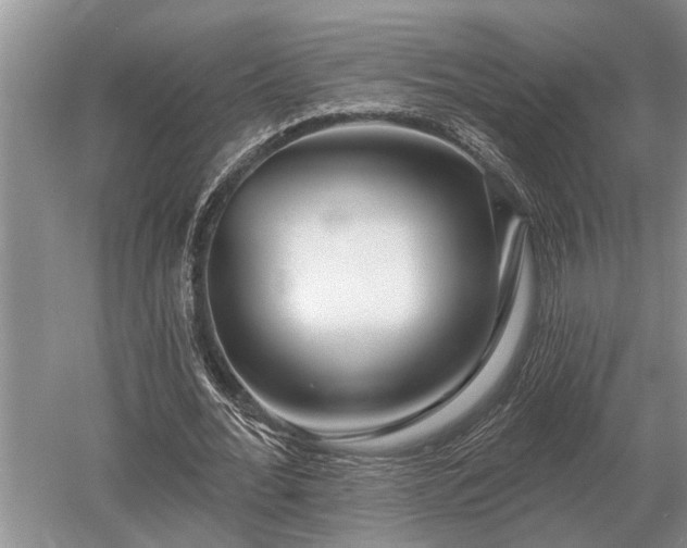 X0000052980676200507151829