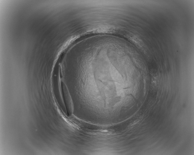 X0000052980678200507151829