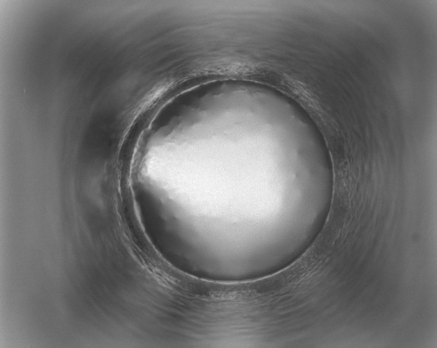 X0000052980679200507151829