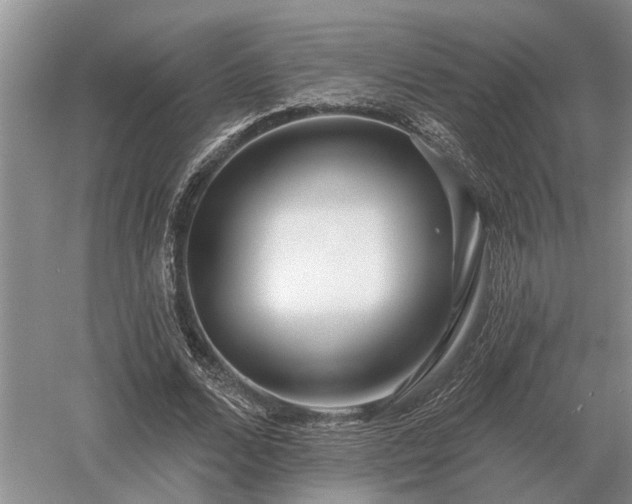 X0000052980680200507151829