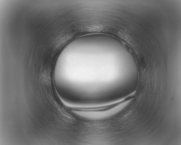 X0000052980681200507151829