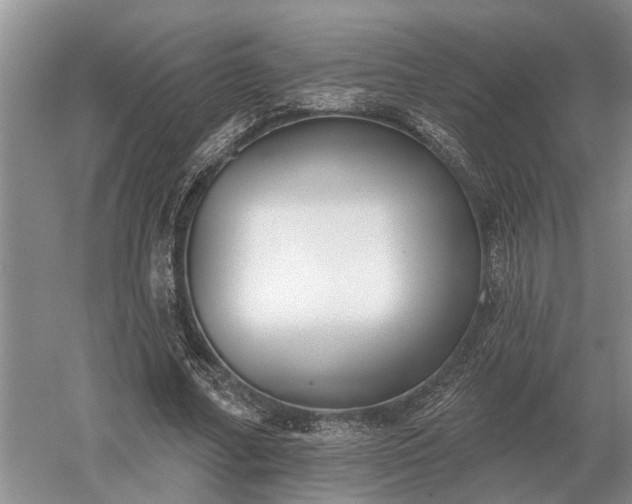 X0000052980682200507151829