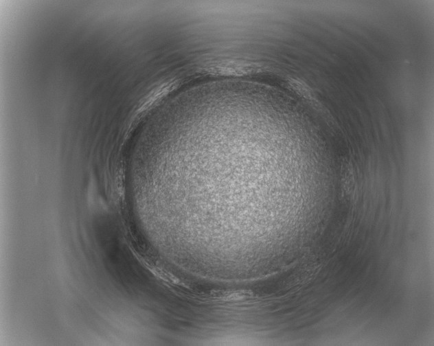 X0000052980683200507151829