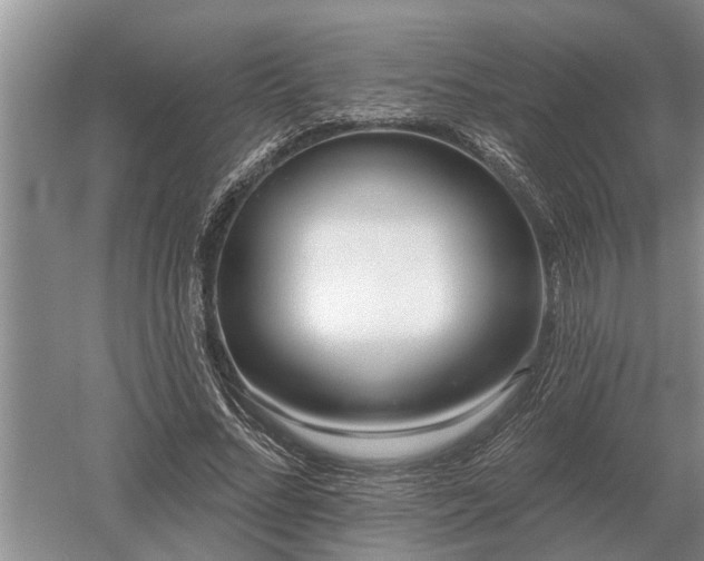 X0000052980684200507151829