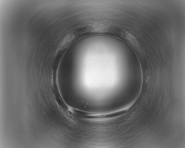 X0000052980685200507151829