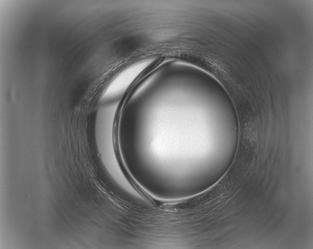 X0000052980687200507151829