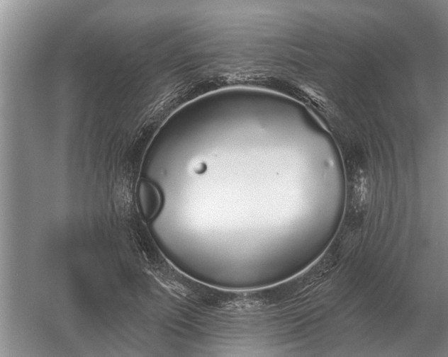 X0000052980691200507151828