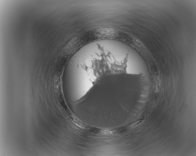 X0000052980701200507151828