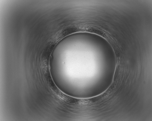 X0000052980707200507151828