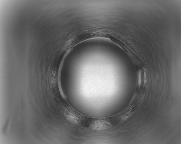 X0000052980708200507151828