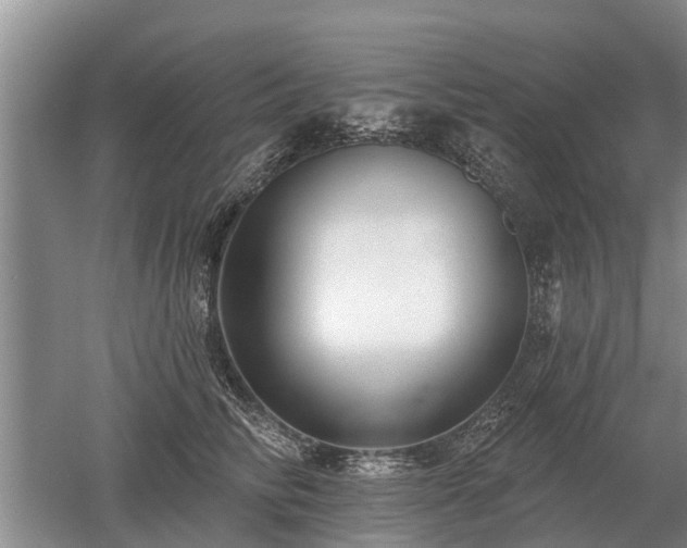 X0000052980710200507151828