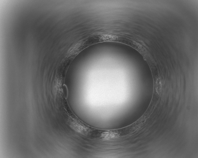 X0000052980714200507151828