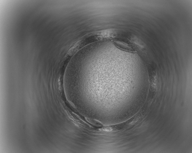 X0000052980715200507151828