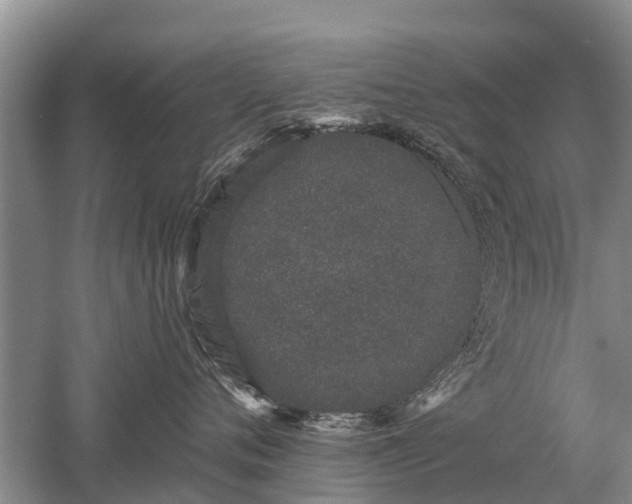 X0000052980720200507151828