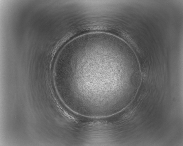 X0000052980721200507151827