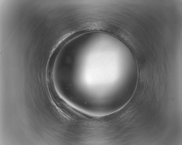 X0000052980722200507151827