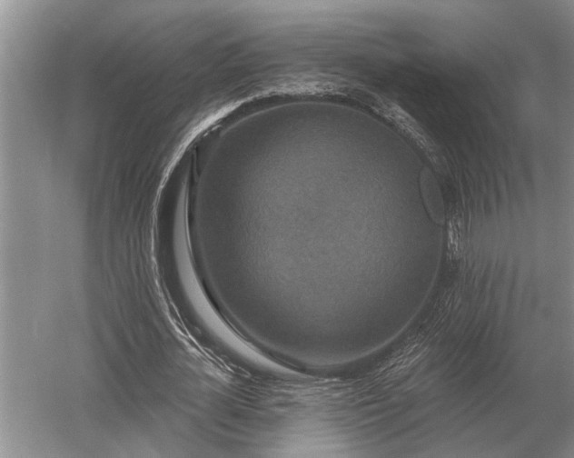 X0000052980724200507151827