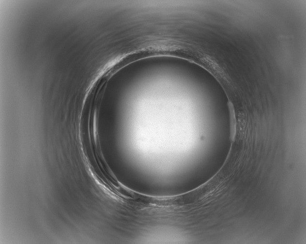 X0000052980726200507151827