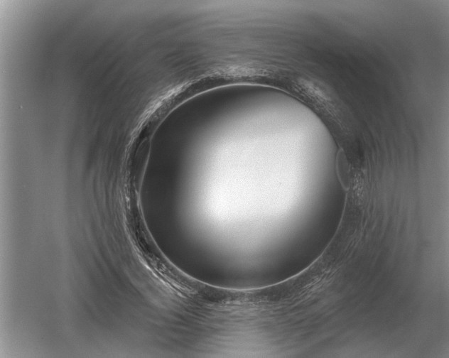 X0000052980732200507151827