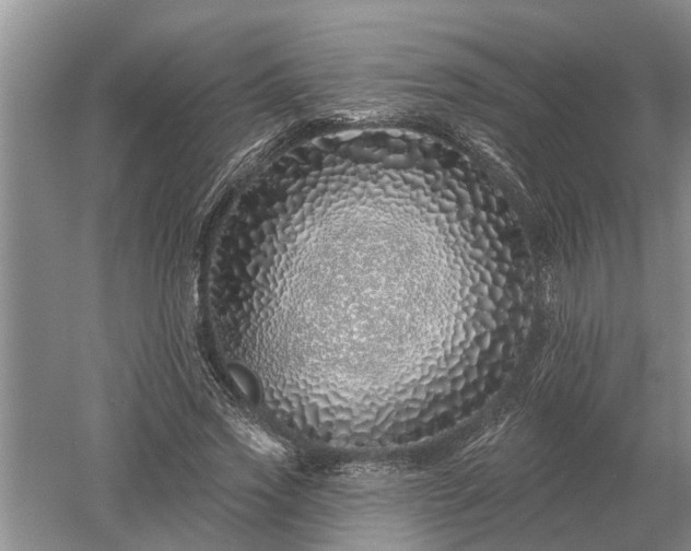 X0000052980733200507151827