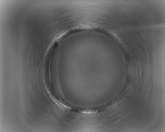 X0000052980736200507151827