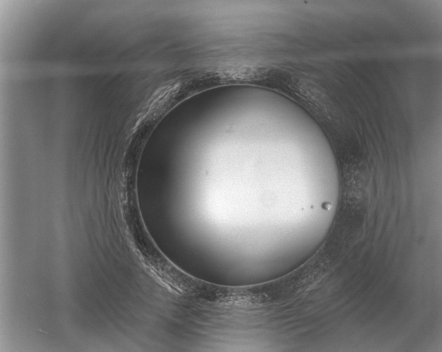 X0000052980738200507151827