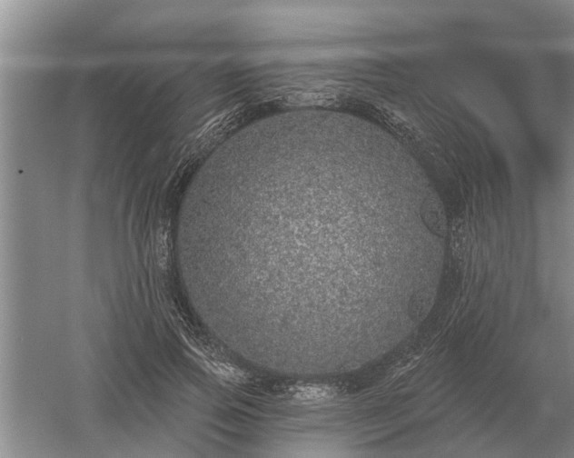 X0000052980741200507151827