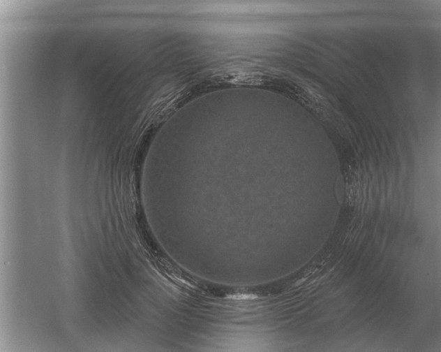 X0000052980748200507151828