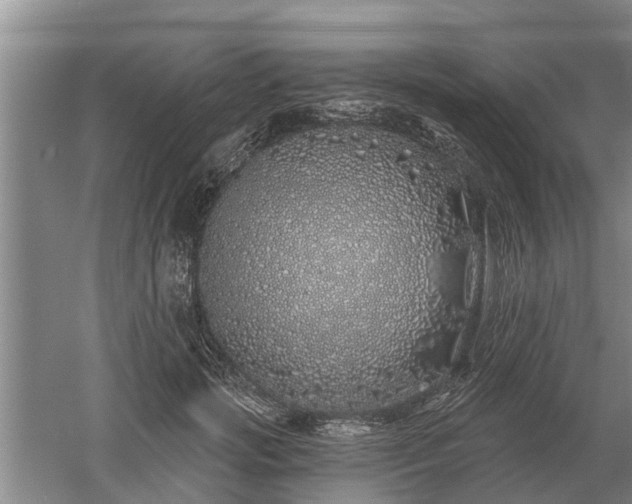 X0000052980749200507151828