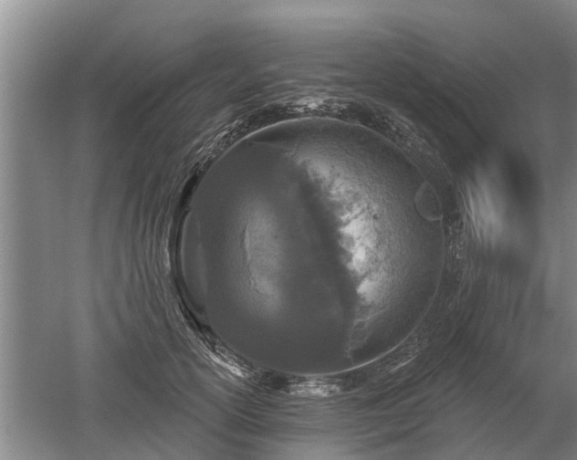 X0000052980754200507151828