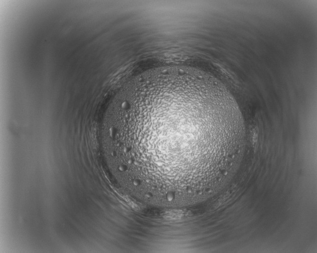 X0000052980757200507151828