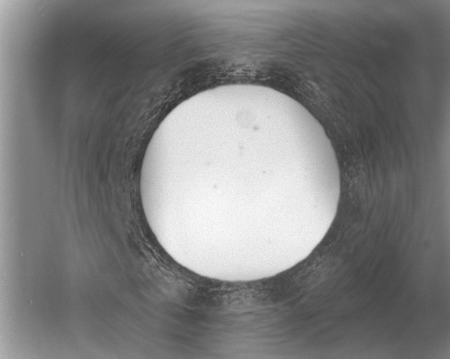 X0000052980769200507151827